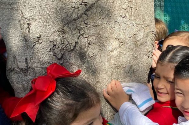 Grupo de niñas y niños abrazando el tronco del árbol del patio