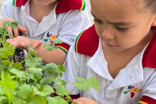Dos niñas de preescolar revisando las plantas del huerto escolar de Reguilete