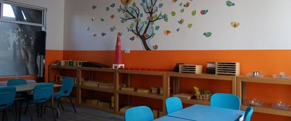Salón del Taller Montessori con estantes de material, mesas azules y un árbol de pájaros pintado en la pared
